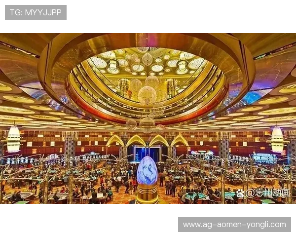 澳门最大的几个赌场一览，探索这些赌场的历史背景与经营特色