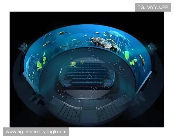 君澜娱乐最新游戏产品上线引领行业潮流打造极致沉浸式娱乐体验