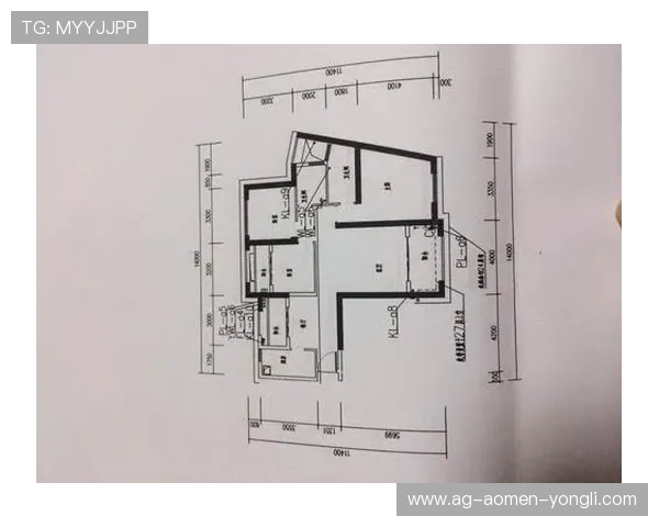 回力球场平面图详细设计与布局指南,助你打造专业运动场地