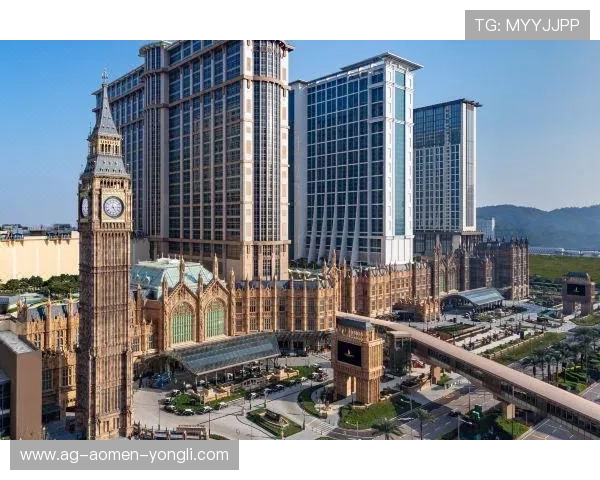 澳门伦敦人官网用户评价与真实体验分享帮助你做出明智选择