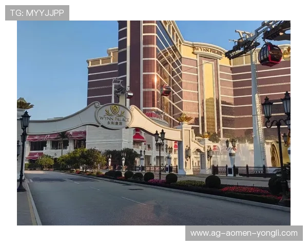 澳门永利皇宫登录注册流程详解及新手玩家快速上手攻略